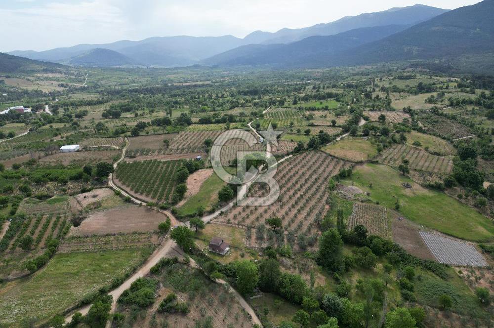 ÇANAKKALE BAYRAMİÇ ÇAVUŞLU KÖYÜNDE FIRSAT TARLA