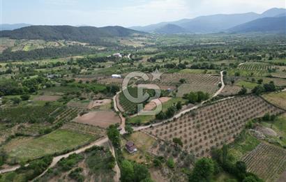 ÇANAKKALE BAYRAMİÇ ÇAVUŞLU KÖYÜNDE FIRSAT TARLA