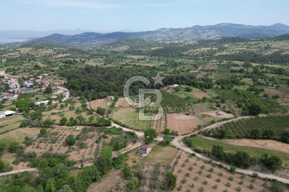 ÇANAKKALE BAYRAMİÇ ÇAVUŞLU KÖYÜNDE FIRSAT TARLA