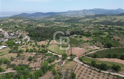 ÇANAKKALE BAYRAMİÇ ÇAVUŞLU KÖYÜNDE FIRSAT TARLA