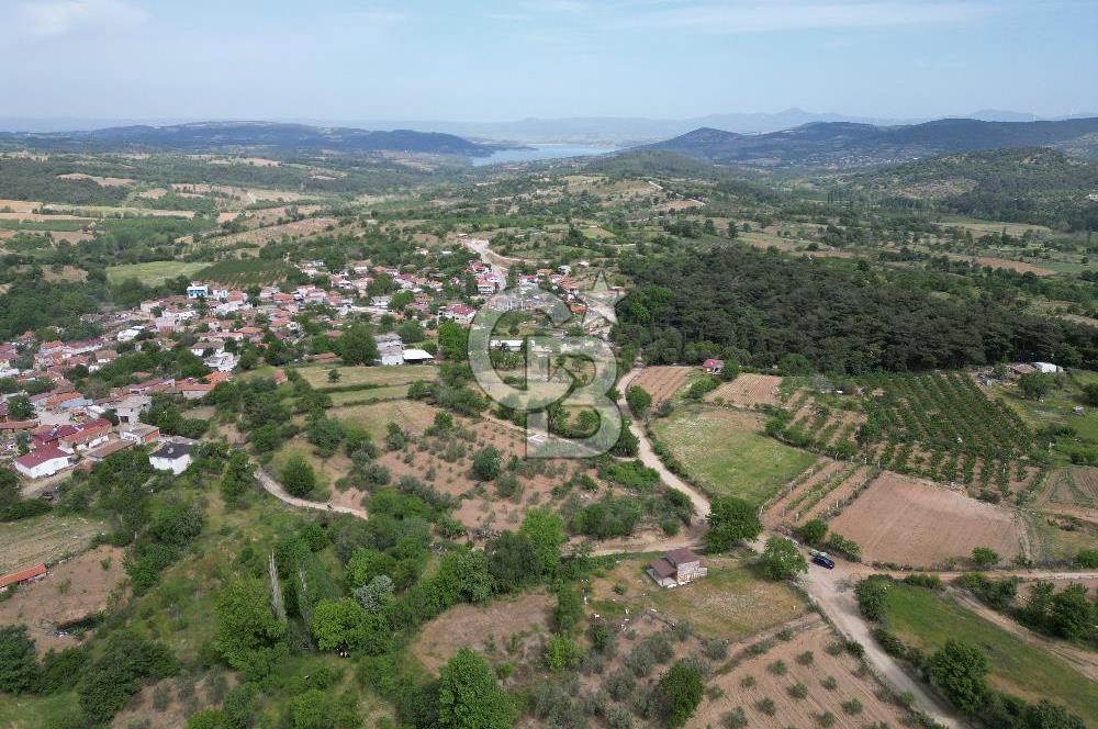 ÇANAKKALE BAYRAMİÇ ÇAVUŞLU KÖYÜNDE FIRSAT TARLA