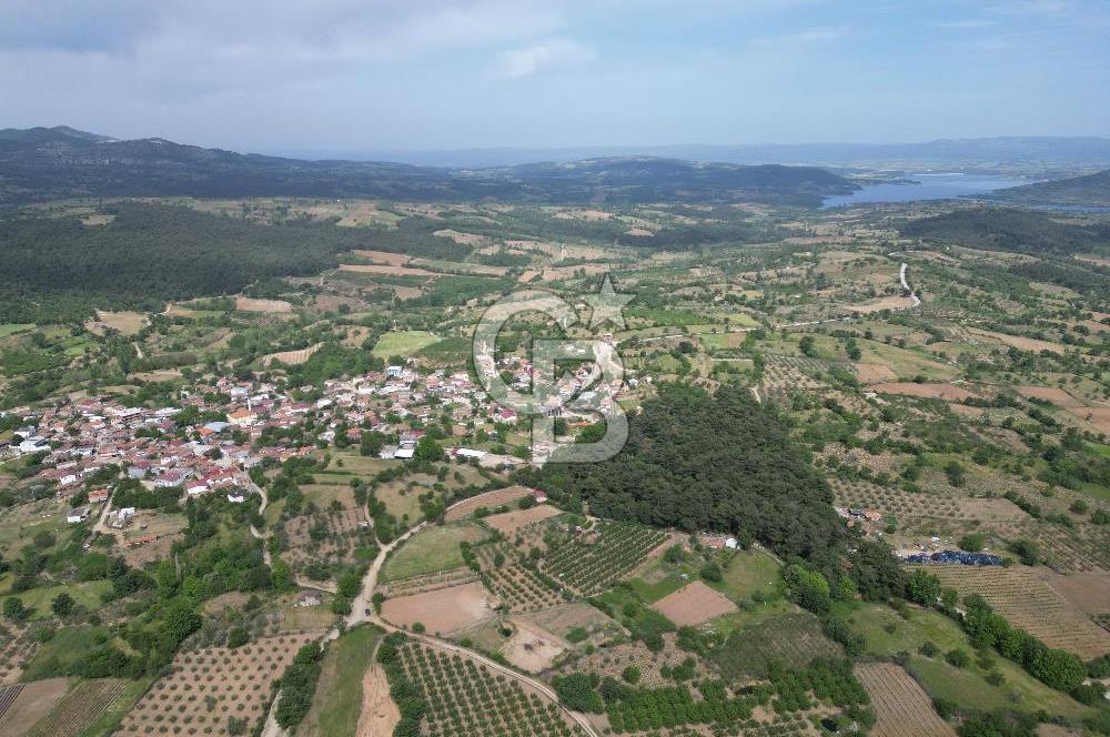 ÇANAKKALE BAYRAMİÇ ÇAVUŞLU KÖYÜNDE FIRSAT TARLA