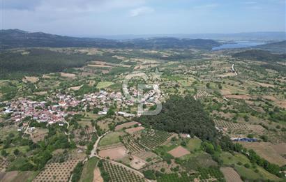 ÇANAKKALE BAYRAMİÇ ÇAVUŞLU KÖYÜNDE FIRSAT TARLA