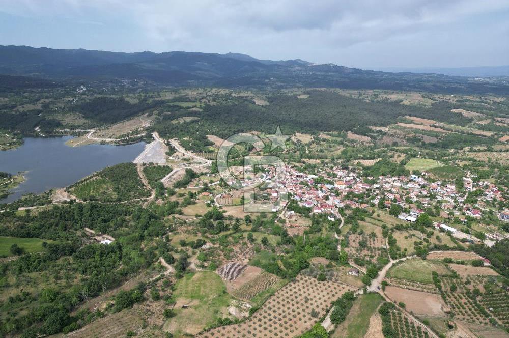 ÇANAKKALE BAYRAMİÇ ÇAVUŞLU KÖYÜNDE FIRSAT TARLA