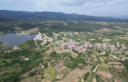 ÇANAKKALE BAYRAMİÇ ÇAVUŞLU KÖYÜNDE FIRSAT TARLA