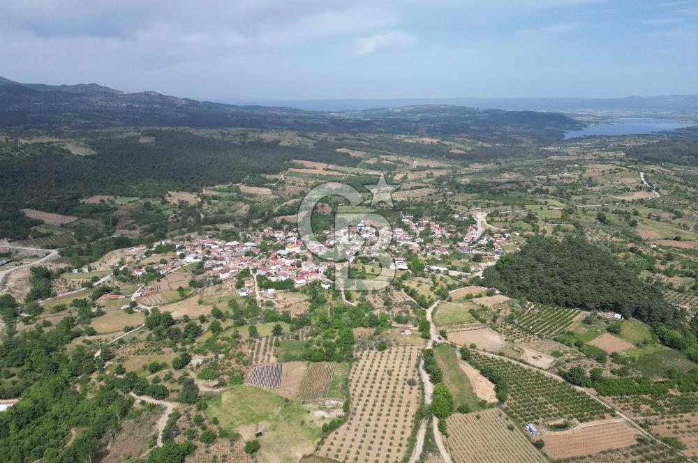 ÇANAKKALE BAYRAMİÇ ÇAVUŞLU KÖYÜNDE FIRSAT TARLA