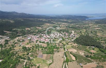 ÇANAKKALE BAYRAMİÇ ÇAVUŞLU KÖYÜNDE FIRSAT TARLA