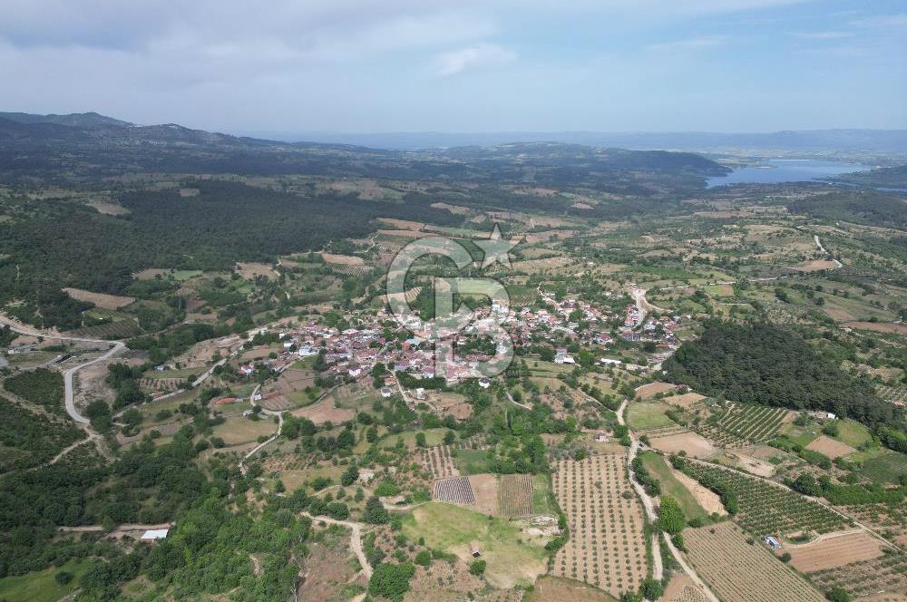 ÇANAKKALE BAYRAMİÇ ÇAVUŞLU KÖYÜNDE FIRSAT TARLA