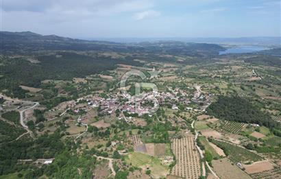 ÇANAKKALE BAYRAMİÇ ÇAVUŞLU KÖYÜNDE FIRSAT TARLA