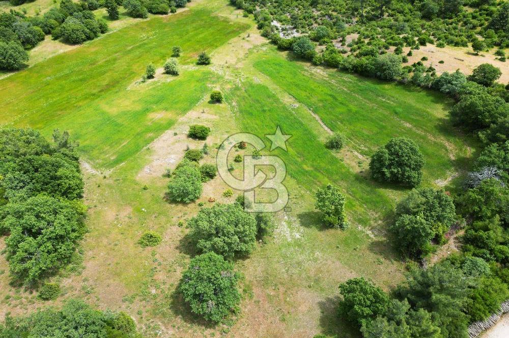Çanakkale Lapseki Hacıgelen'de 25.500 m² Tarla – Yatırım ve Tarıma Uygun Nitelikli Arazi