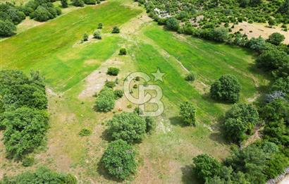 Çanakkale Lapseki Hacıgelen'de 25.500 m² Tarla – Yatırım ve Tarıma Uygun Nitelikli Arazi
