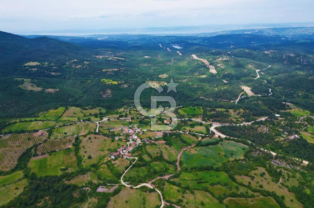 Çanakkale Lapseki Hacıgelen'de 25.500 m² Tarla – Yatırım ve Tarıma Uygun Nitelikli Arazi