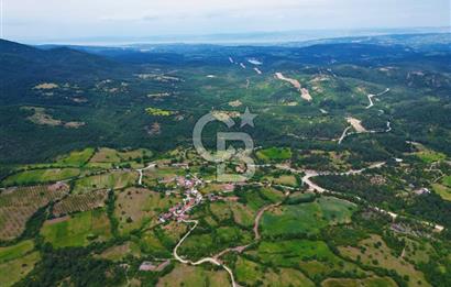 Çanakkale Lapseki Hacıgelen'de 25.500 m² Tarla – Yatırım ve Tarıma Uygun Nitelikli Arazi