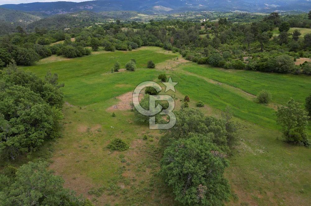 Çanakkale Lapseki Hacıgelen'de 25.500 m² Tarla – Yatırım ve Tarıma Uygun Nitelikli Arazi