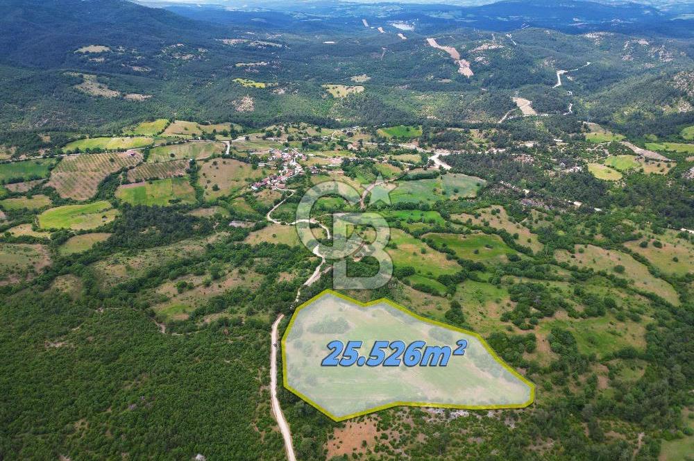 Çanakkale Lapseki Hacıgelen'de 25.500 m² Tarla – Yatırım ve Tarıma Uygun Nitelikli Arazi