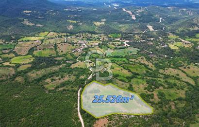 Çanakkale Lapseki Hacıgelen'de 25.500 m² Tarla – Yatırım ve Tarıma Uygun Nitelikli Arazi
