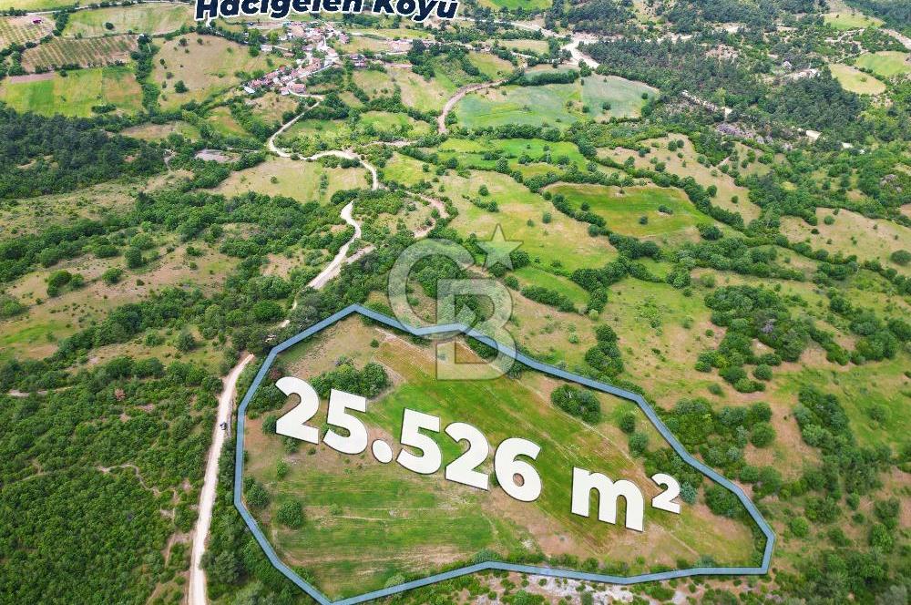 Çanakkale Lapseki Hacıgelen'de 25.500 m² Tarla – Yatırım ve Tarıma Uygun Nitelikli Arazi