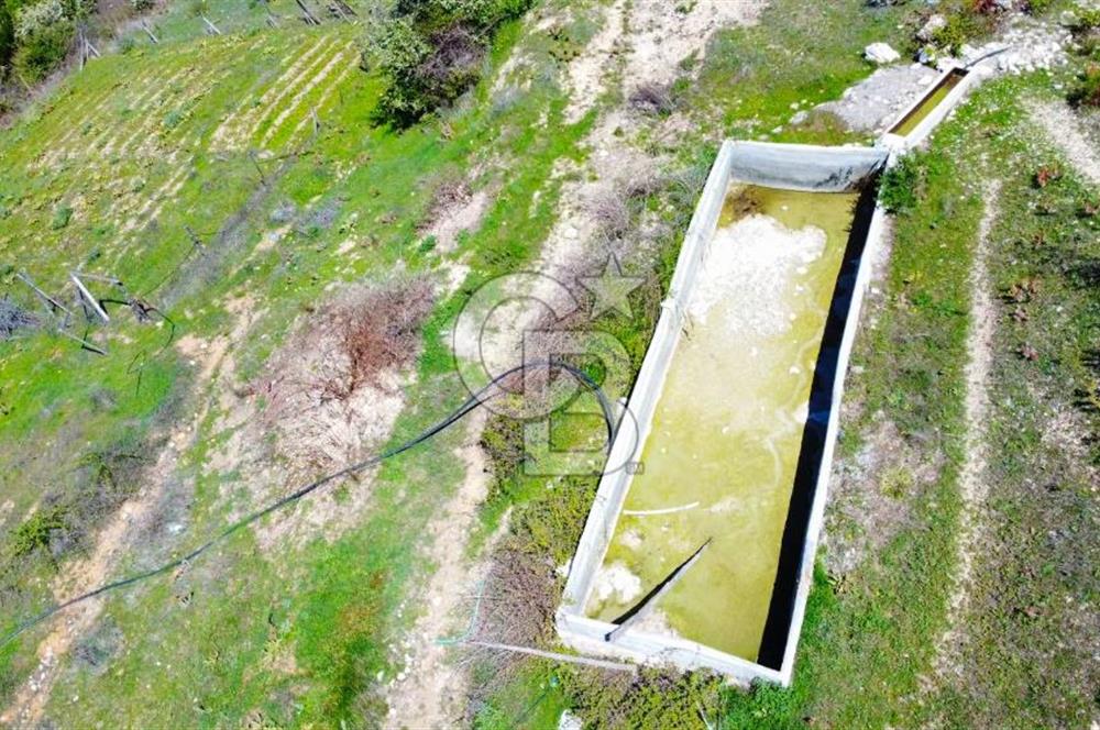 Günlüce Köyü'nde Yola Sıfır, Elektrik Sorunu Olmayan 988 m² Satılık Tarla
