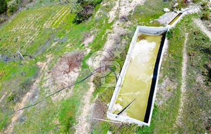 Günlüce Köyü'nde Yola Sıfır, Elektrik Sorunu Olmayan 988 m² Satılık Tarla