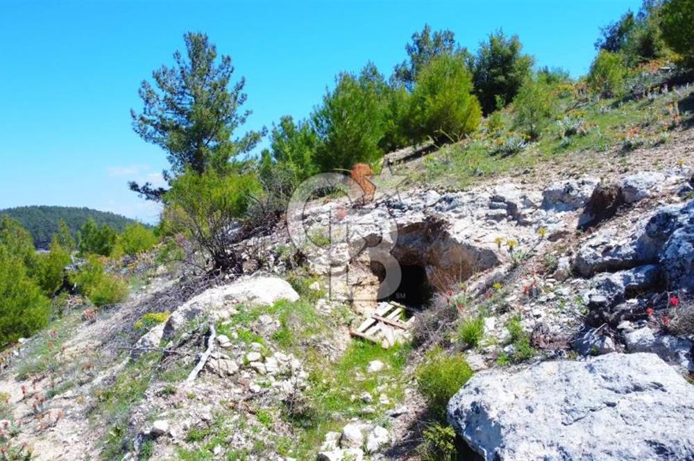 Günlüce Köyü'nde Yola Sıfır, Elektrik Sorunu Olmayan 988 m² Satılık Tarla