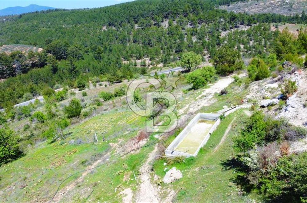 Günlüce Köyü'nde Yola Sıfır, Elektrik Sorunu Olmayan 988 m² Satılık Tarla