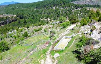 Günlüce Köyü'nde Yola Sıfır, Elektrik Sorunu Olmayan 988 m² Satılık Tarla