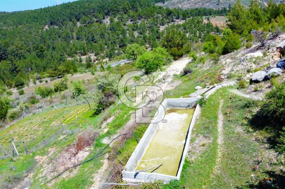 Günlüce Köyü'nde Yola Sıfır, Elektrik Sorunu Olmayan 988 m² Satılık Tarla
