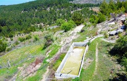 Günlüce Köyü'nde Yola Sıfır, Elektrik Sorunu Olmayan 988 m² Satılık Tarla