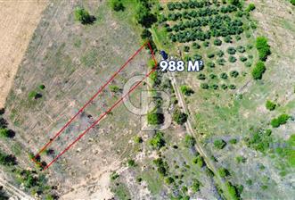 Günlüce Köyü'nde Yola Sıfır, Elektrik Sorunu Olmayan 988 m² Satılık Tarla