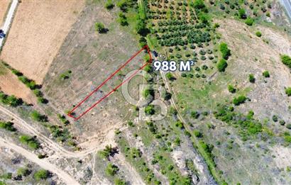 Günlüce Köyü'nde Yola Sıfır, Elektrik Sorunu Olmayan 988 m² Satılık Tarla