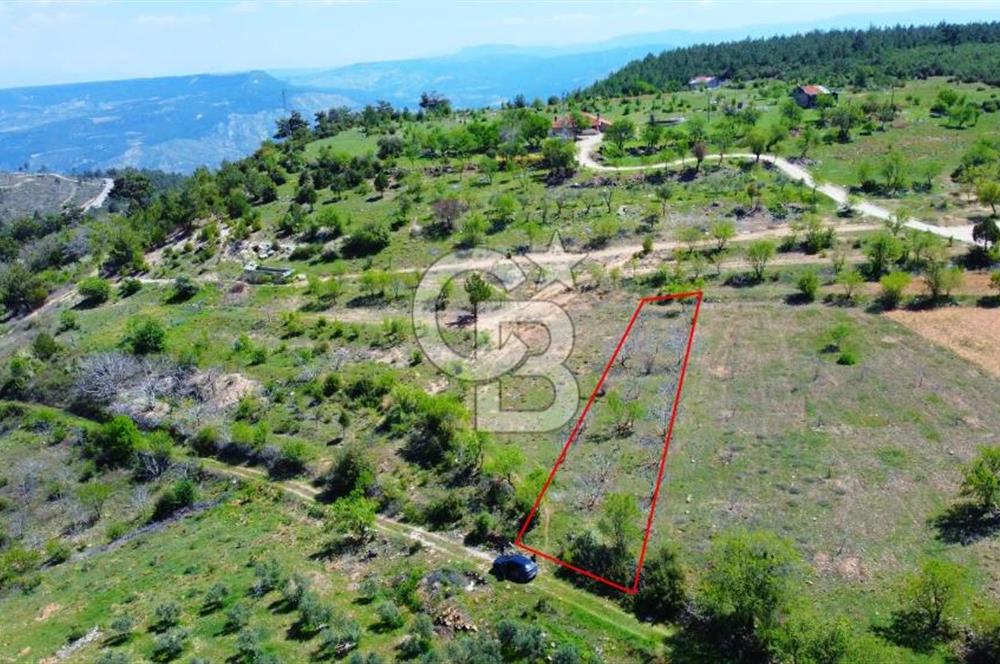 Günlüce Köyü'nde Yola Sıfır, Elektrik Sorunu Olmayan 988 m² Satılık Tarla
