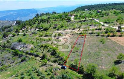 Günlüce Köyü'nde Yola Sıfır, Elektrik Sorunu Olmayan 988 m² Satılık Tarla