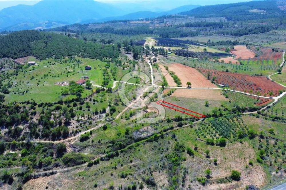 Günlüce Köyü'nde Yola Sıfır, Elektrik Sorunu Olmayan 988 m² Satılık Tarla