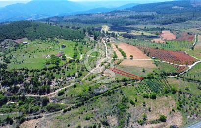 Günlüce Köyü'nde Yola Sıfır, Elektrik Sorunu Olmayan 988 m² Satılık Tarla