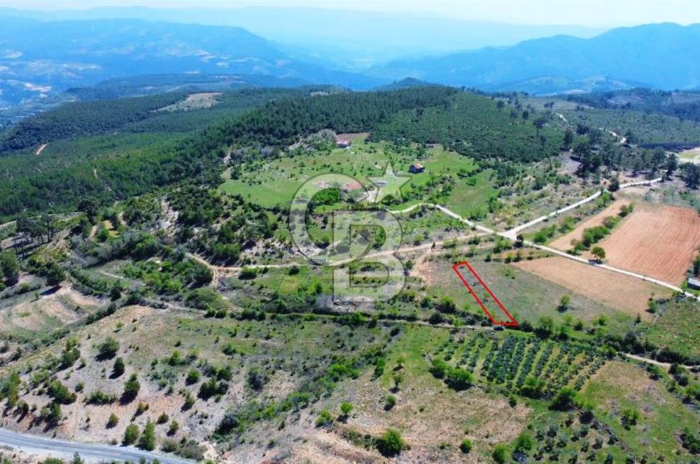 Günlüce Köyü'nde Yola Sıfır, Elektrik Sorunu Olmayan 988 m² Satılık Tarla