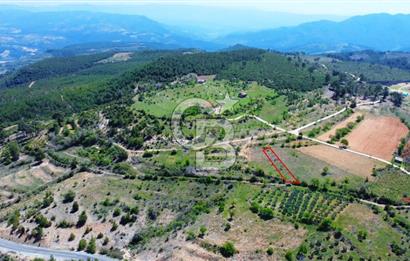 Günlüce Köyü'nde Yola Sıfır, Elektrik Sorunu Olmayan 988 m² Satılık Tarla
