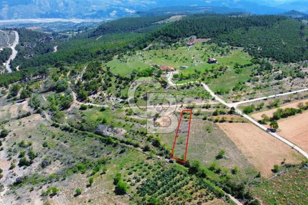 Günlüce Köyü'nde Yola Sıfır, Elektrik Sorunu Olmayan 988 m² Satılık Tarla