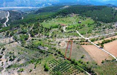 Günlüce Köyü'nde Yola Sıfır, Elektrik Sorunu Olmayan 988 m² Satılık Tarla