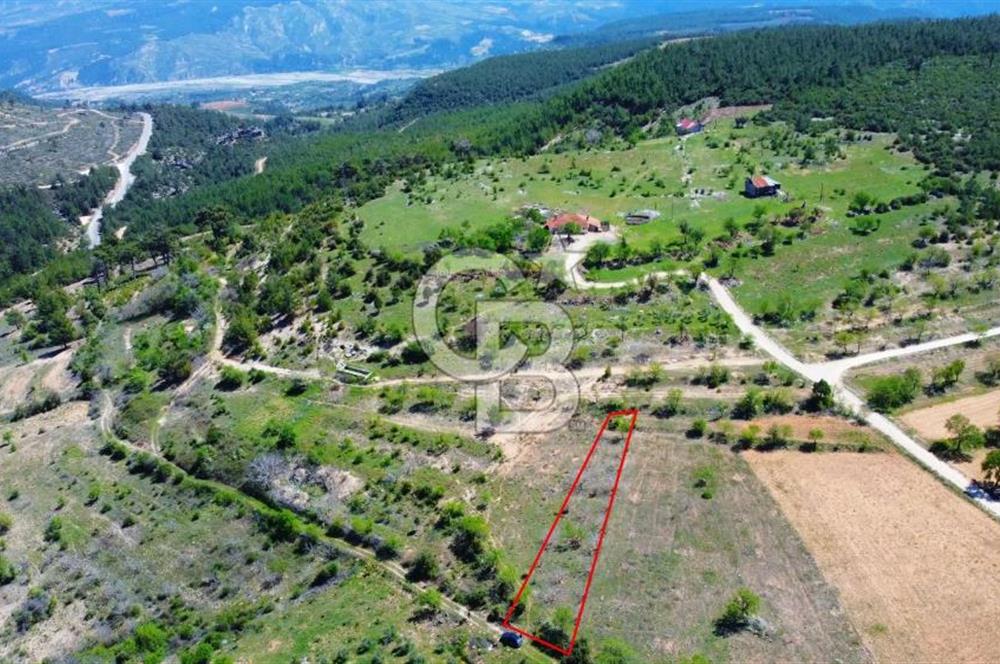 Günlüce Köyü'nde Yola Sıfır, Elektrik Sorunu Olmayan 988 m² Satılık Tarla