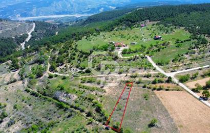 Günlüce Köyü'nde Yola Sıfır, Elektrik Sorunu Olmayan 988 m² Satılık Tarla