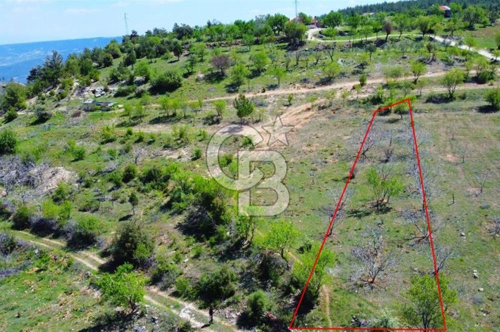 Günlüce Köyü'nde Yola Sıfır, Elektrik Sorunu Olmayan 988 m² Satılık Tarla