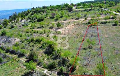 Günlüce Köyü'nde Yola Sıfır, Elektrik Sorunu Olmayan 988 m² Satılık Tarla