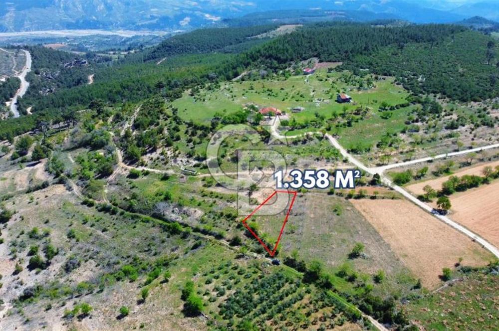 Günlüce Köyü'nde Yola Sıfır, Elektrik Sorunu Olmayan 1358 m² Satılık Tarla!