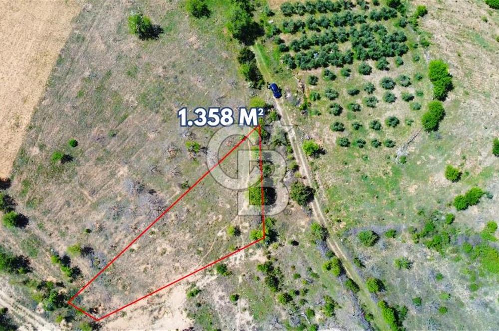 Günlüce Köyü'nde Yola Sıfır, Elektrik Sorunu Olmayan 1358 m² Satılık Tarla!