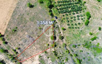Günlüce Köyü'nde Yola Sıfır, Elektrik Sorunu Olmayan 1358 m² Satılık Tarla!