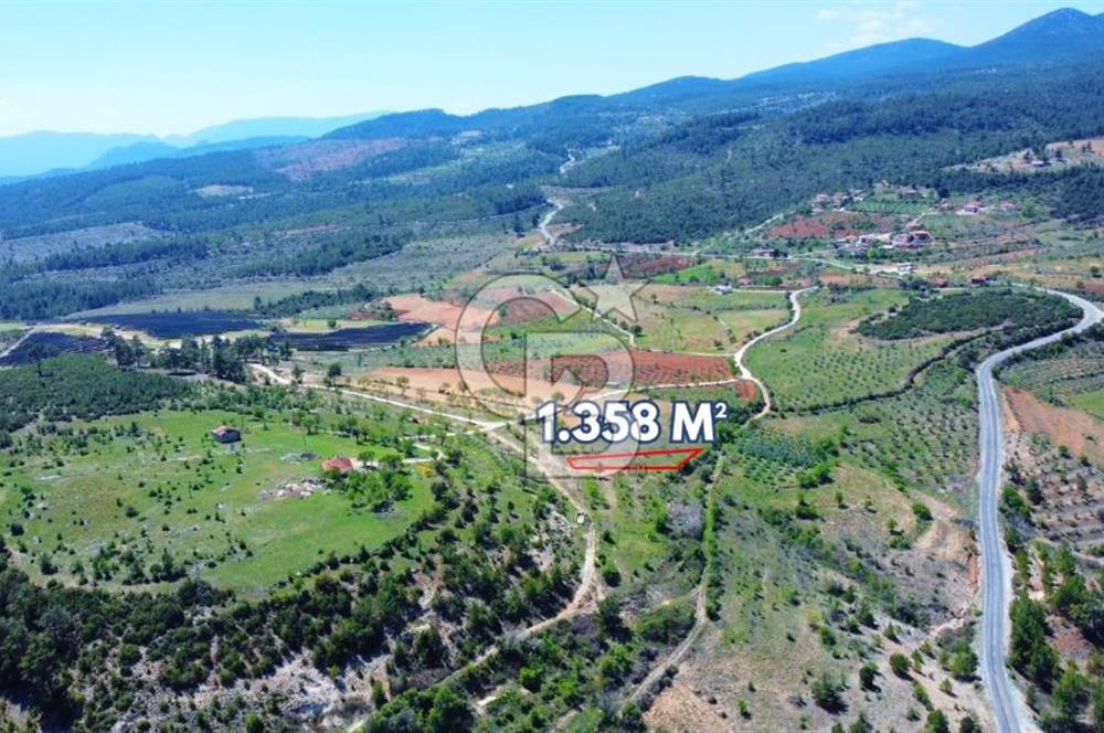 Günlüce Köyü'nde Yola Sıfır, Elektrik Sorunu Olmayan 1358 m² Satılık Tarla!