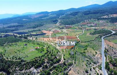Günlüce Köyü'nde Yola Sıfır, Elektrik Sorunu Olmayan 1358 m² Satılık Tarla!