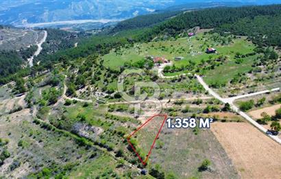 Günlüce Köyü'nde Yola Sıfır, Elektrik Sorunu Olmayan 1358 m² Satılık Tarla!
