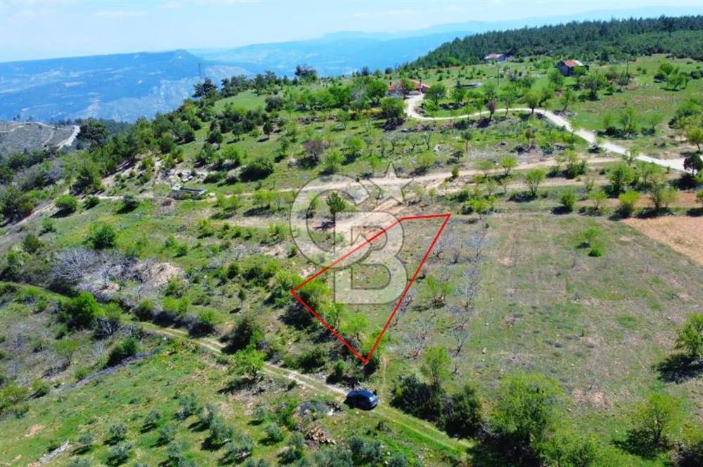 Günlüce Köyü'nde Yola Sıfır, Elektrik Sorunu Olmayan 1358 m² Satılık Tarla!