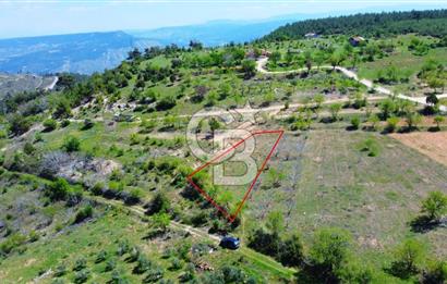 Günlüce Köyü'nde Yola Sıfır, Elektrik Sorunu Olmayan 1358 m² Satılık Tarla!